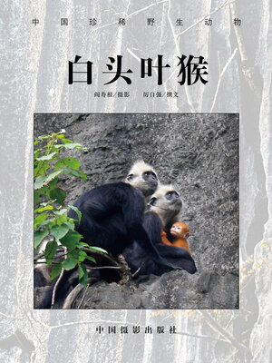 cover image of 白头叶猴